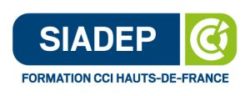SIADEP-formation-vectorise¦ü-RVB-01-300x115