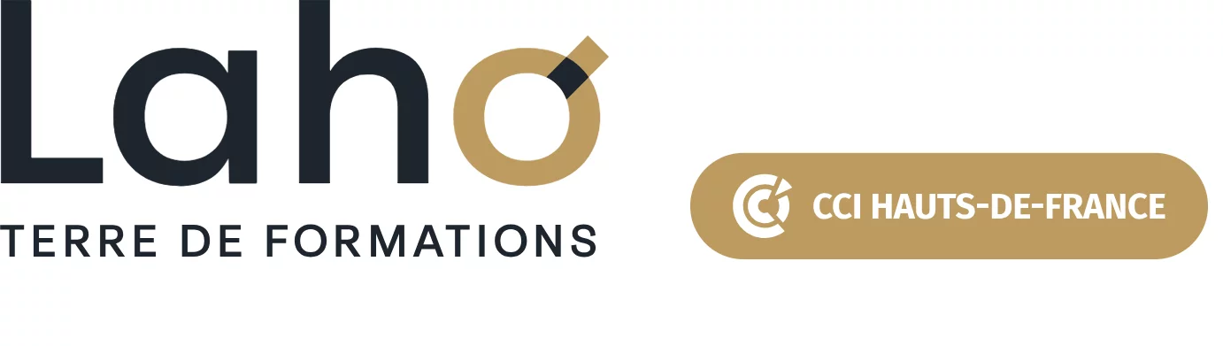 LOGO-LAHO-MEROPOLE-LILLOISE